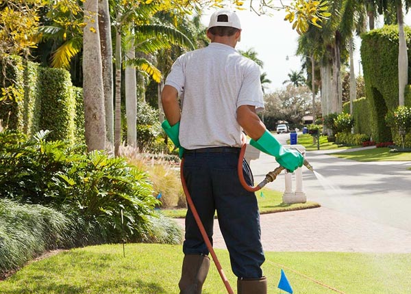 About Elmont NY Pest Control